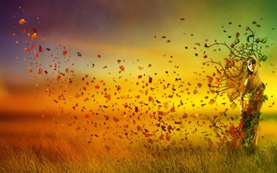 Autumn-Nature-Paintings